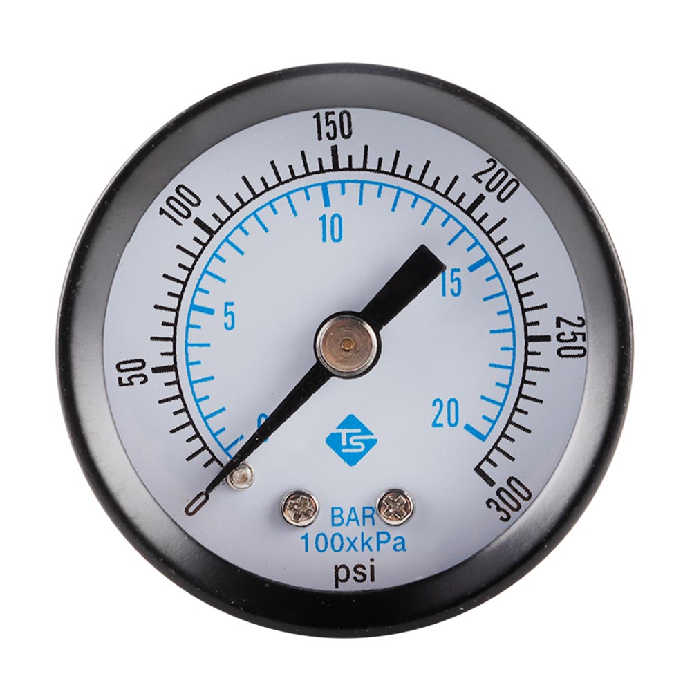 0-300 PSI Pressure Gauge Dial  - Fuel Pump Pressure Vacuum Tester Gauge 评论和价格